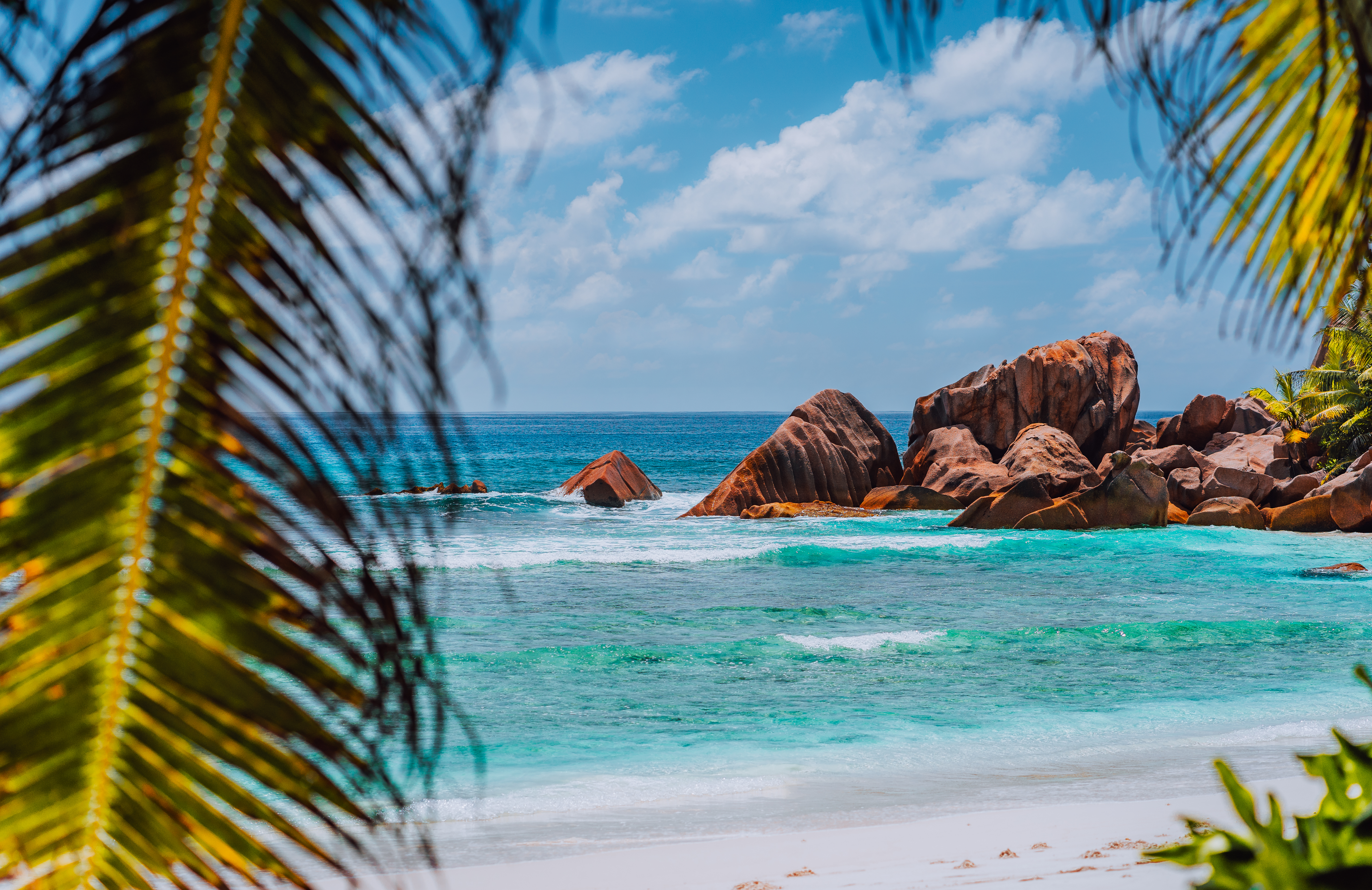 Plage paradisiaque servant d'illustration pour l'article sur les meilleurs spots de plongée sous-marine dans le monde