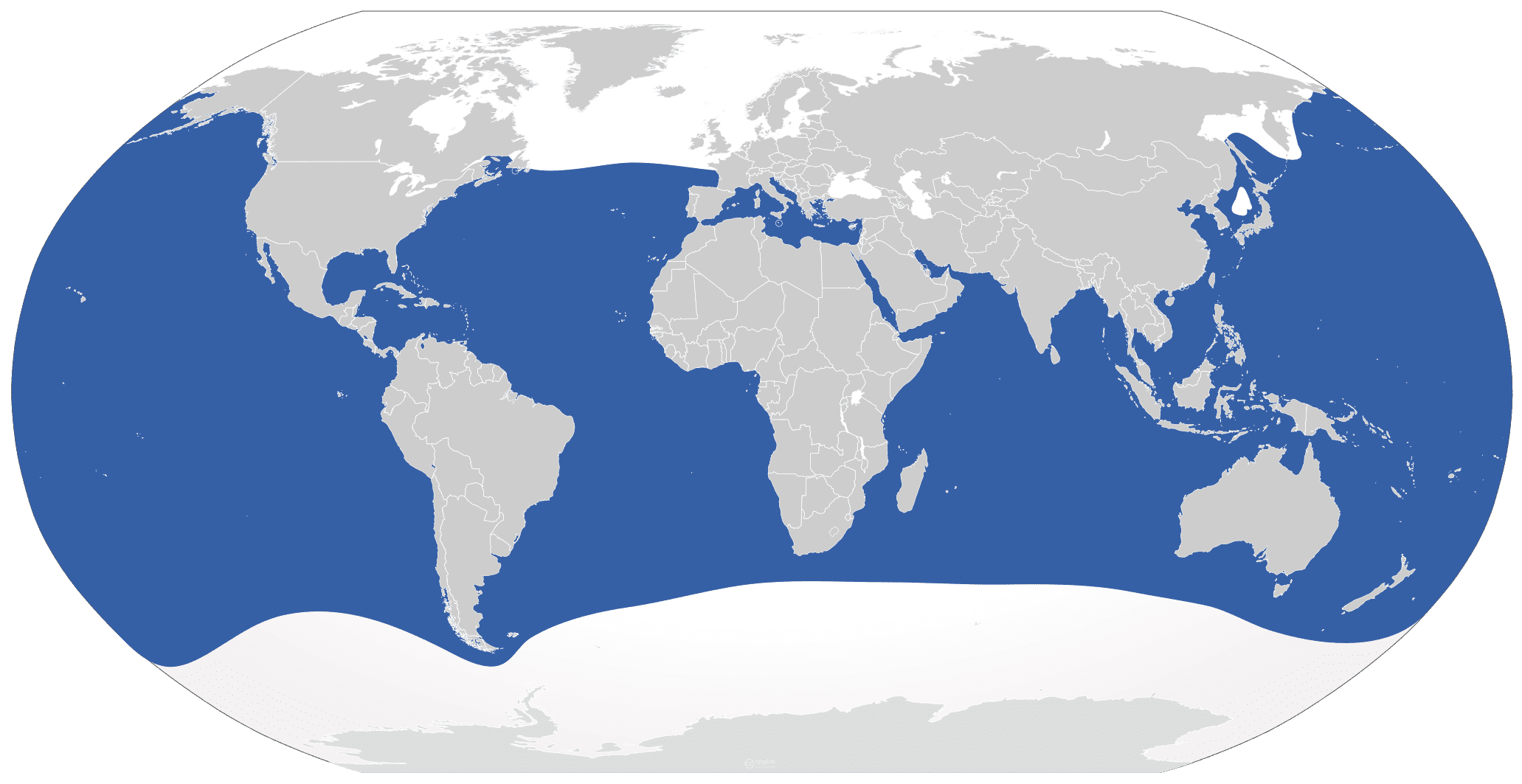 Carte de l'aire de répartition mondiale des requins blancs
