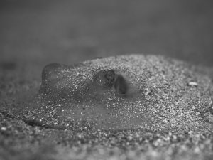 P1029540