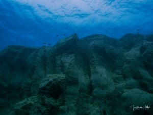 Face à face impressionnant avec d’immenses falaises sous-marines à Tenerife, une plongée inoubliable.