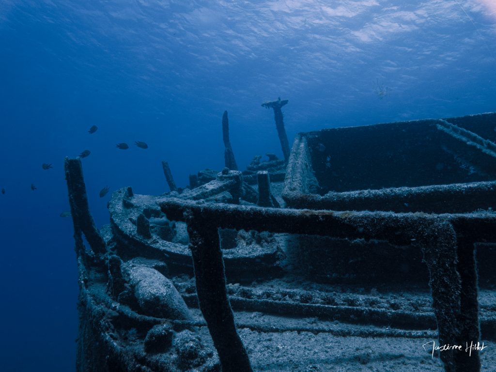 Épave El Condesito à Tenerife, un site de plongée emblématique offrant une exploration fascinante de ce navire échoué.