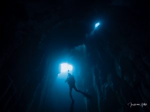 Magnifique ambiance sous-marine dans la grotte El Tubo à Tenerife, un site incontournable pour les plongeurs.