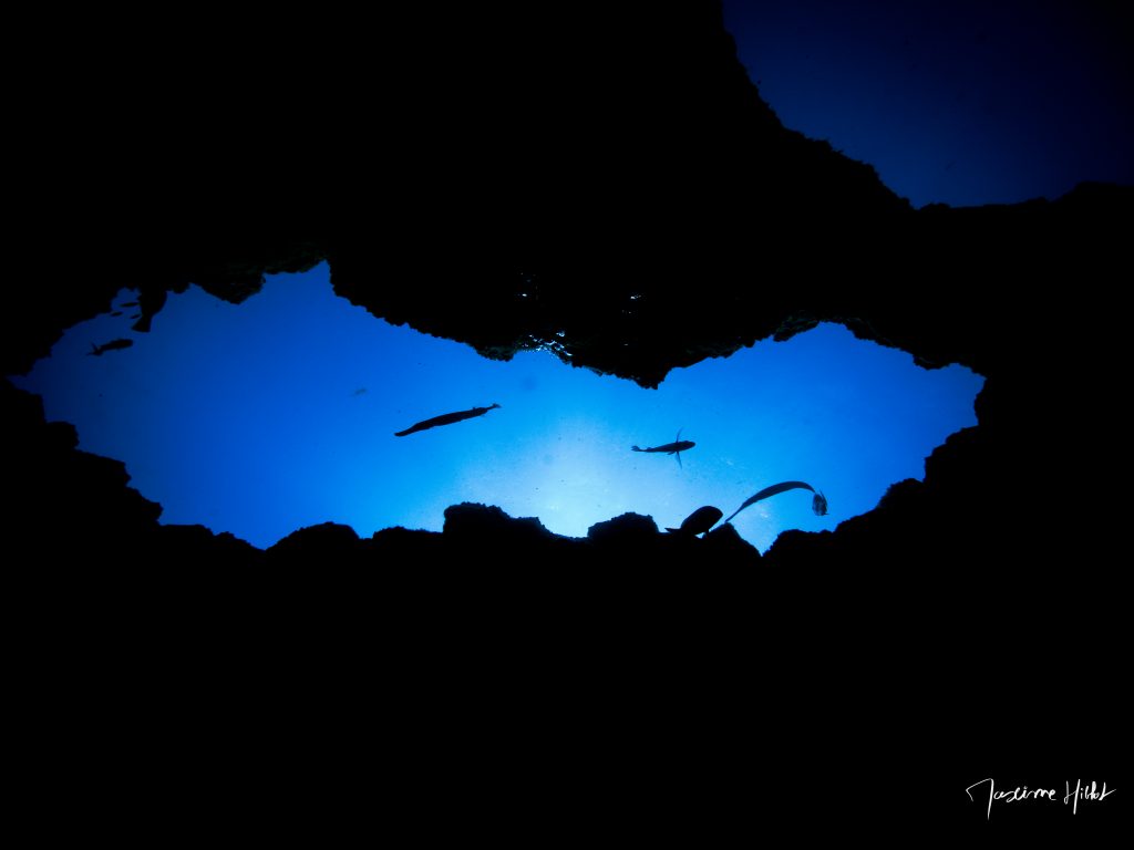 Ambiance mystérieuse sous-marine à Tenerife : contre-plongée et contre-jour révélant les ombres de la roche et des poissons.