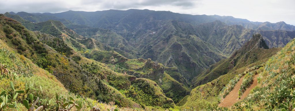 Panorama du massif d’Anaga à Tenerife, un paysage spectaculaire mêlant montagnes verdoyantes et horizons marins.