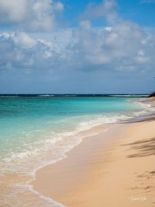 Paysage paradisiaque de l’île Plate, un joyau naturel entouré d’eaux cristallines à l’île Maurice.
