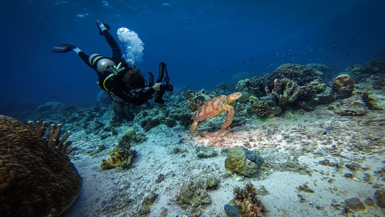 Maxime Hiblot en position acrobatique sous l’eau pour photographier une tortue à Tubbataha