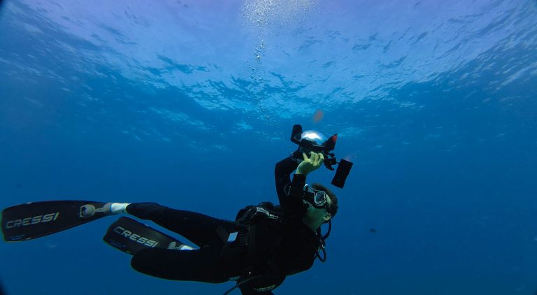 Photographe sous-marin Maxime HIBLOT capturant un invertébré flottant dans le bleu profond de l’océan