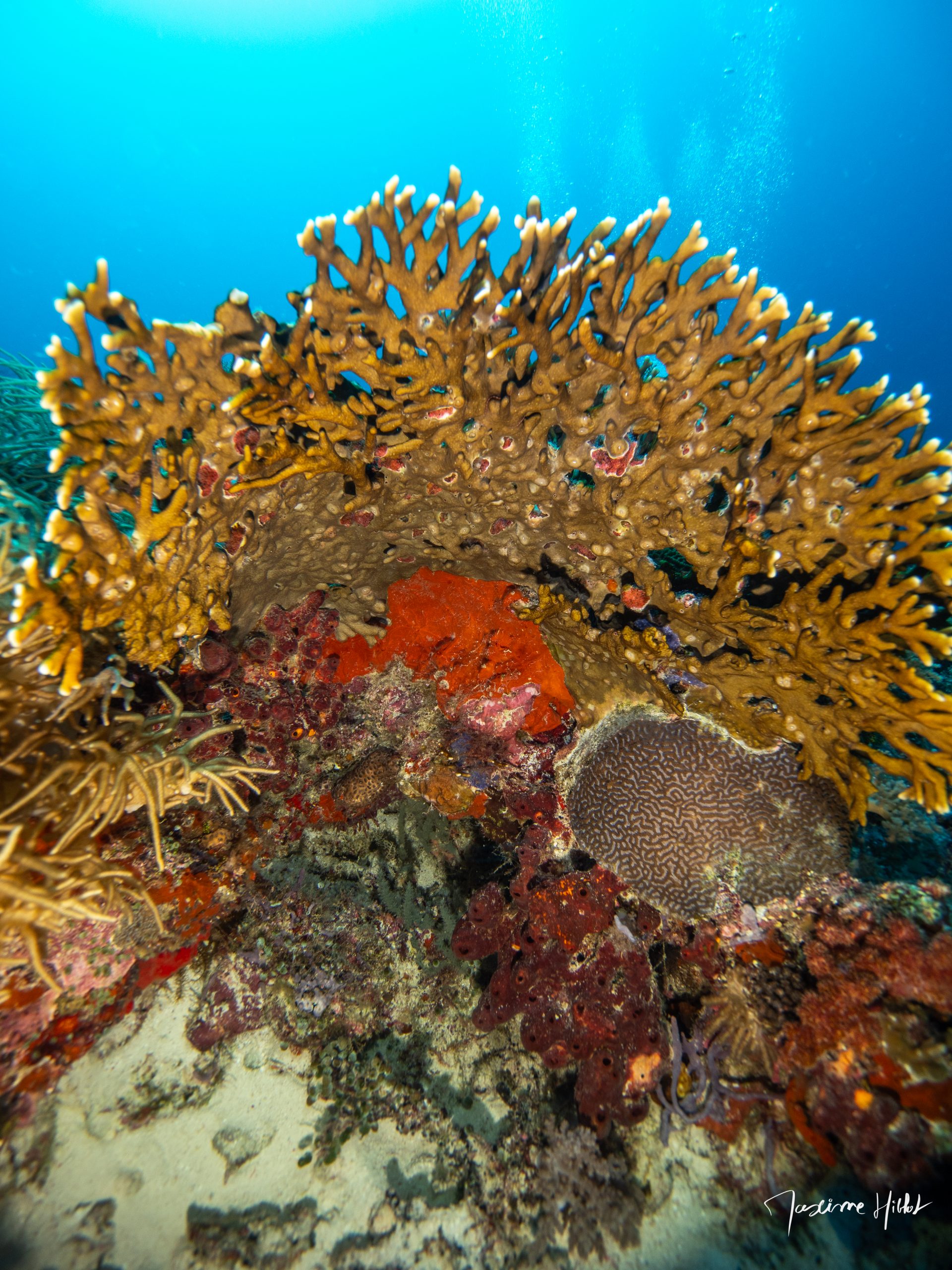P1229842