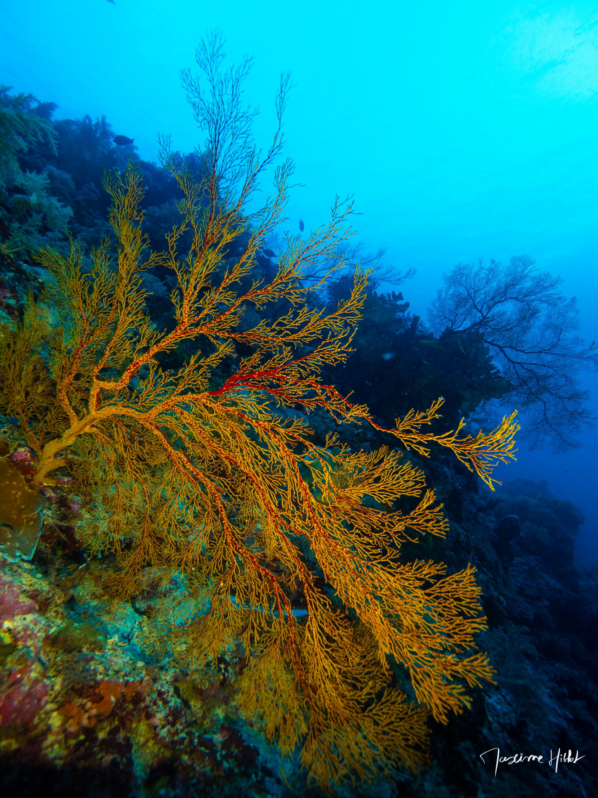 P1229844