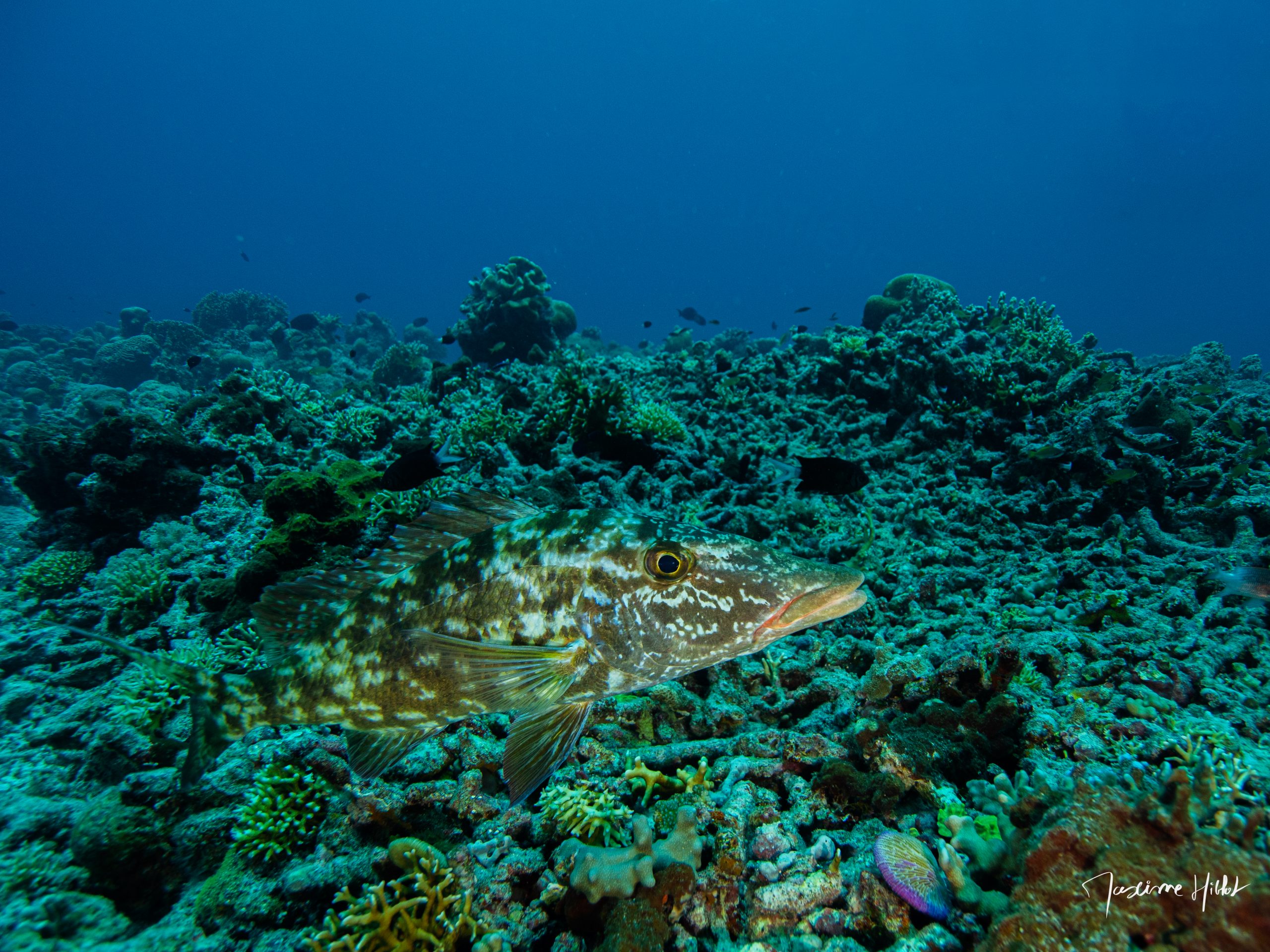P1229925
