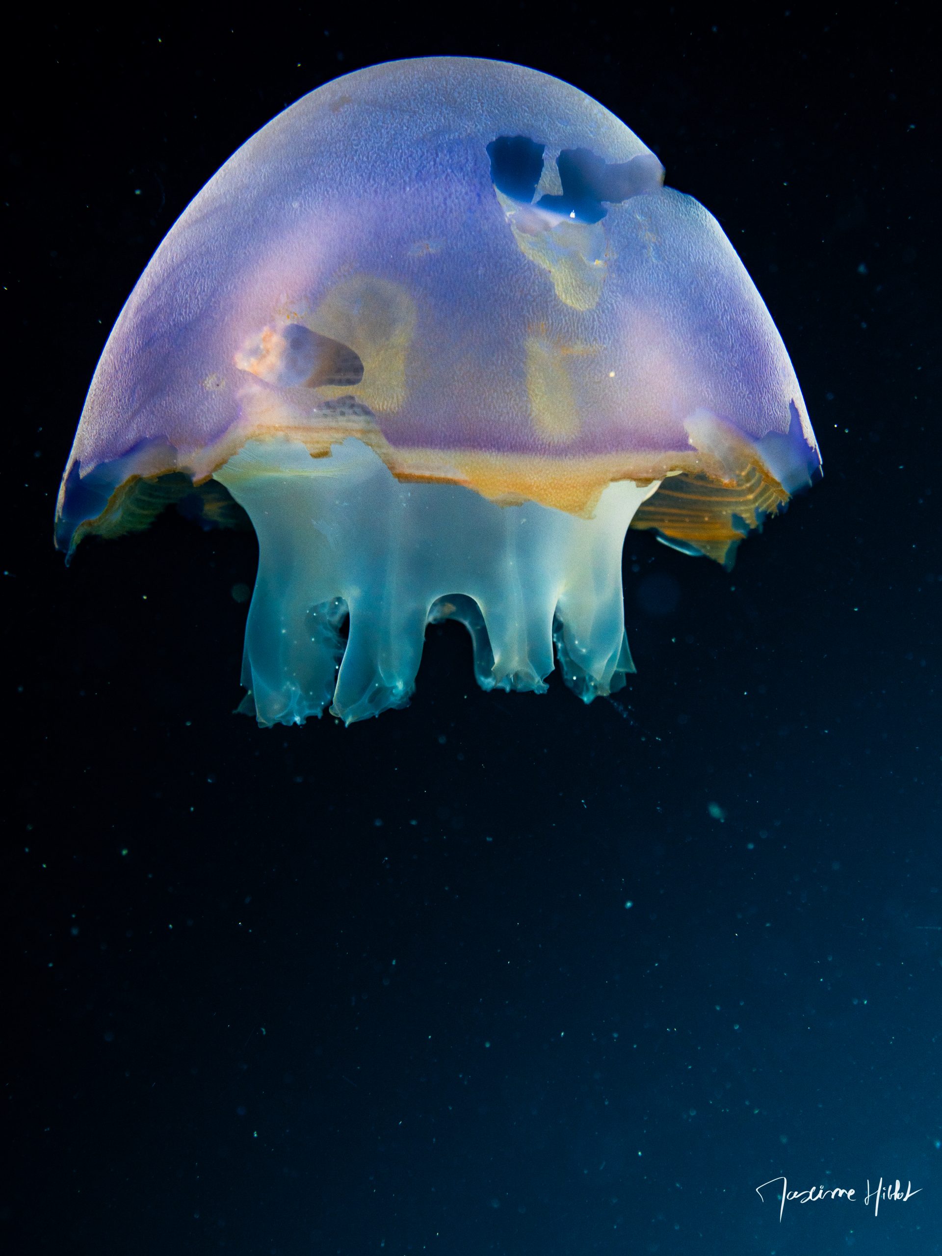 P1229933