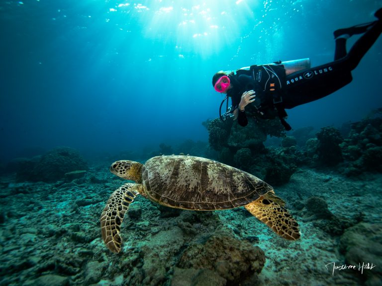 Plongeuse nageant aux côtés d’une tortue marine dans les eaux claires de Tubbataha