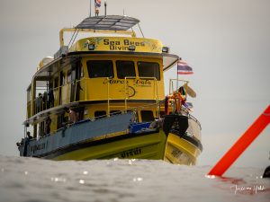 Plongeur en surface avec parachute devant le MV Marco Polo aux îles Similan