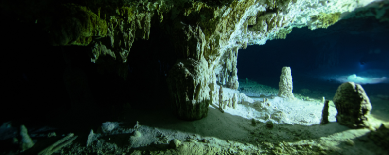 Plongée aux Amériques — destinations Galápagos et Caraïbes