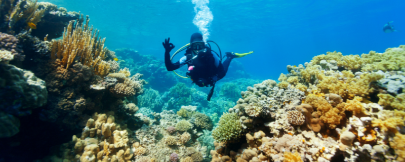 Plongée en Asie — l'une des meilleures destinations de plongée dans le monde