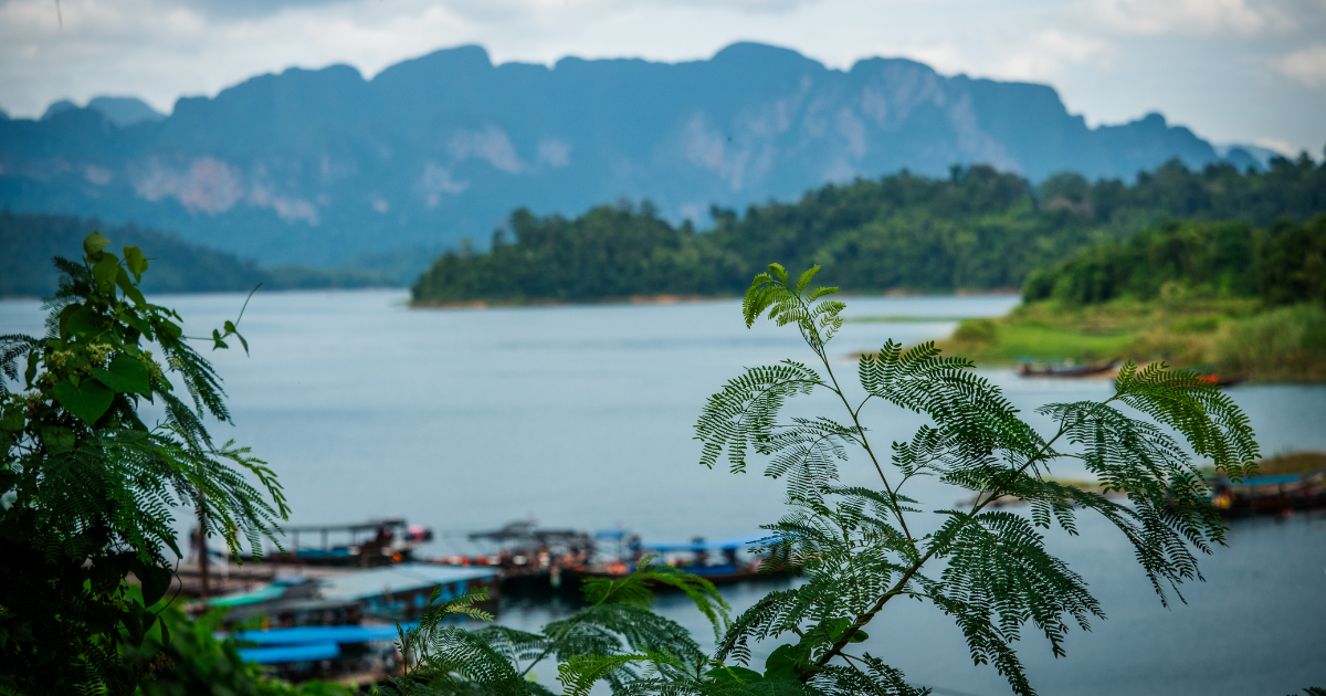 Lac Cheow Lan entouré de jungle au parc national de Khao Sok en Thaïlande